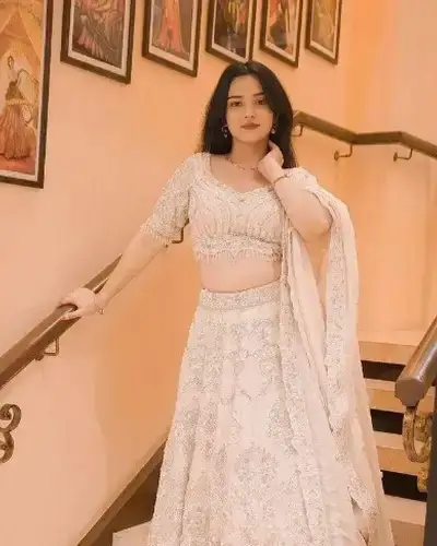 Escort Service In Renapur